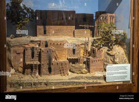 diorama price
